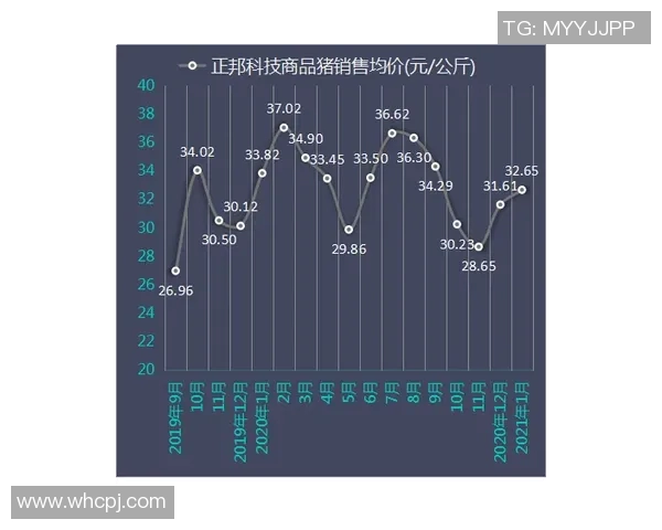 技术统计：维尼修斯近5场表现一览